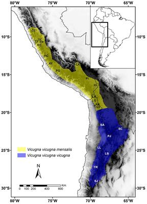 Phylogeography and Population Genetics of Vicugna vicugna: Evolution in the Arid Andean High Plateau